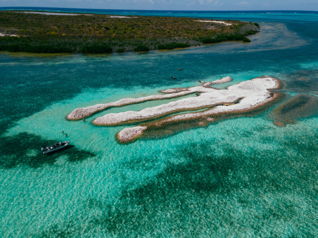 Conch Shell island, Anegada