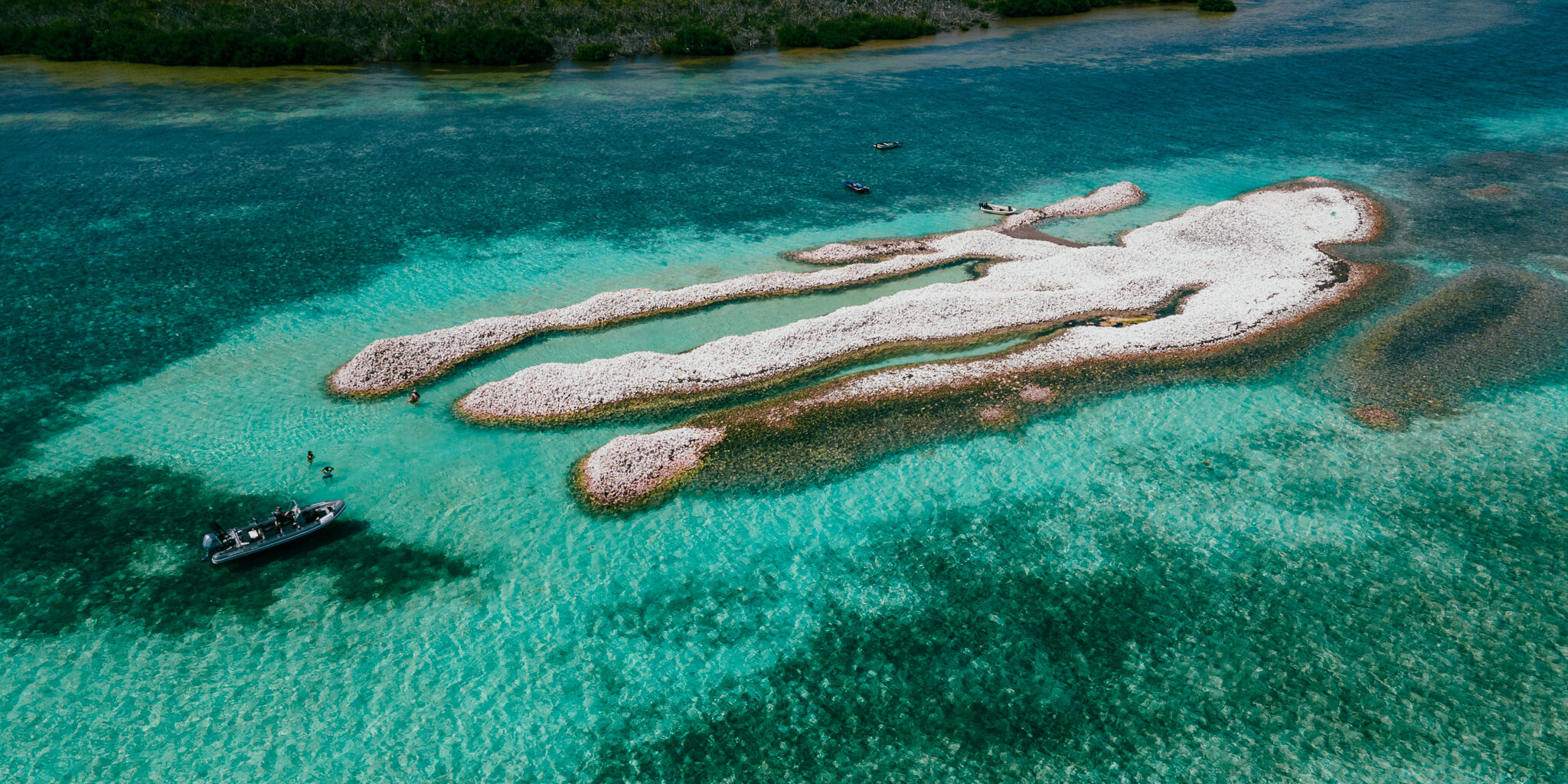 conch-island-anegada conch-island-anegada
